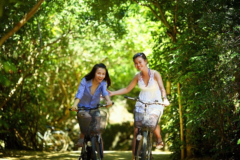 Eco-Friendly Lifestyle